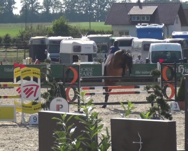 Reitturnier Sauldorf-Boll 2020