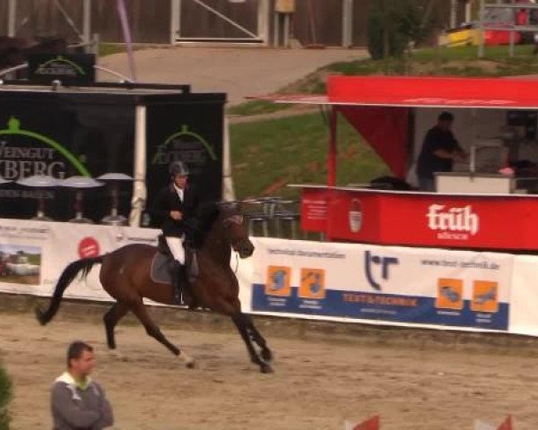 broodmare Catania H 2 (Westphalian, 2009, from Catoki)