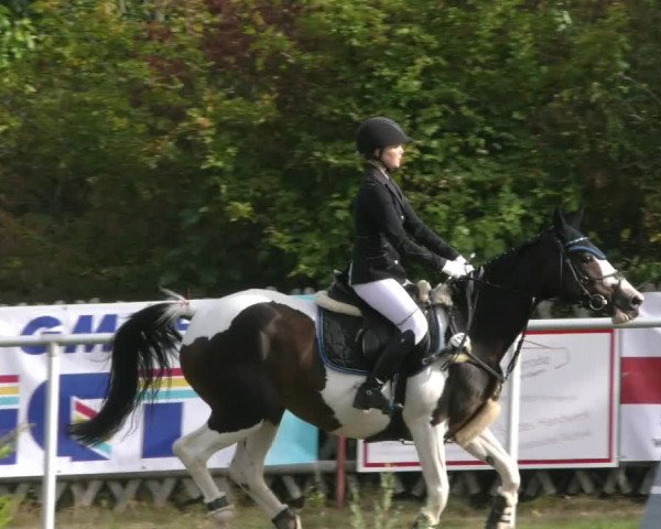Reitturnier Wernigerode 2020