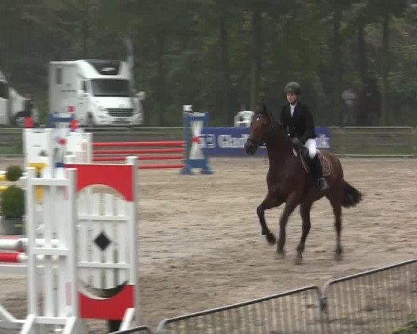 jumper Lady Letizia (Rhinelander, 2004, from Laurentianer)