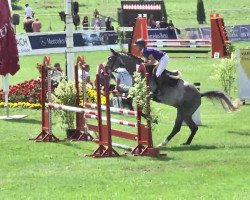 jumper Call Me Calle 5 (Bavarian, 2010, from Cassus 2)