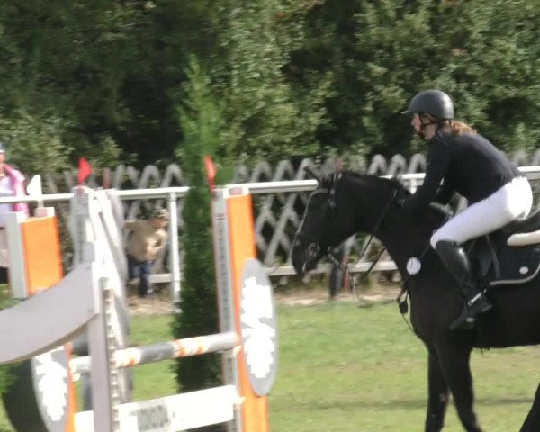 Reitturnier Wernigerode 2020