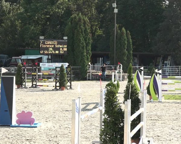 Reitturnier Winkel 2020
