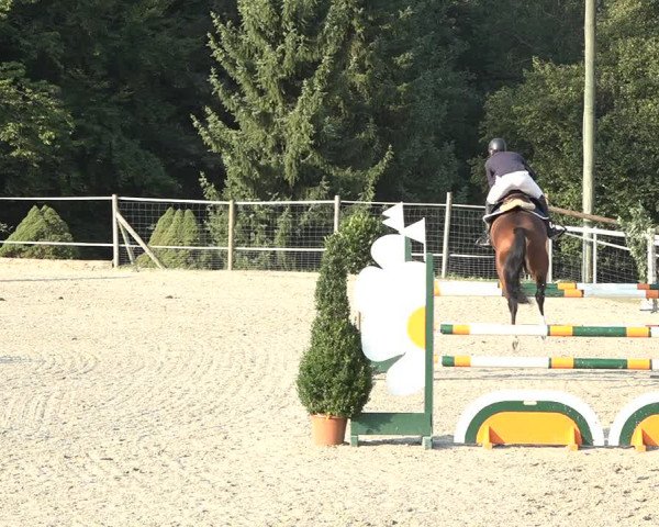 Reitturnier Winkel 2020
