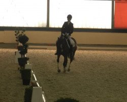 dressage horse Tennessee 66 (German Riding Pony, 2008)