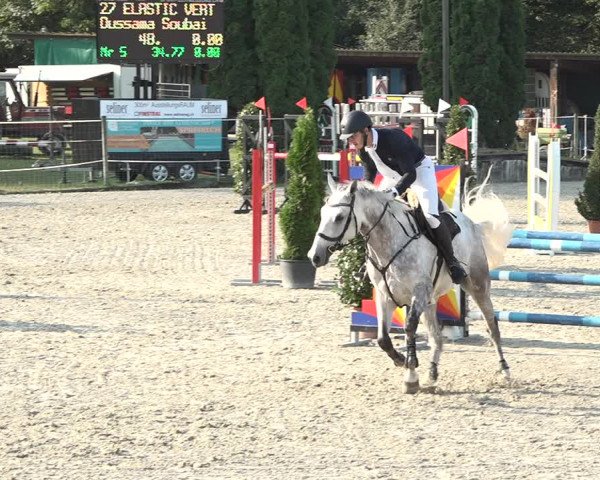 Reitturnier Winkel 2020
