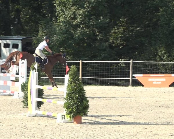 Reitturnier Winkel 2020