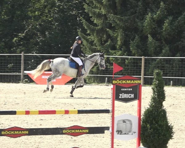 Reitturnier Winkel 2020