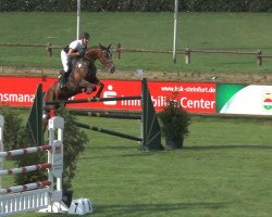 jumper Dimequya (Polish Warmblood, 2007, from Imequyl)