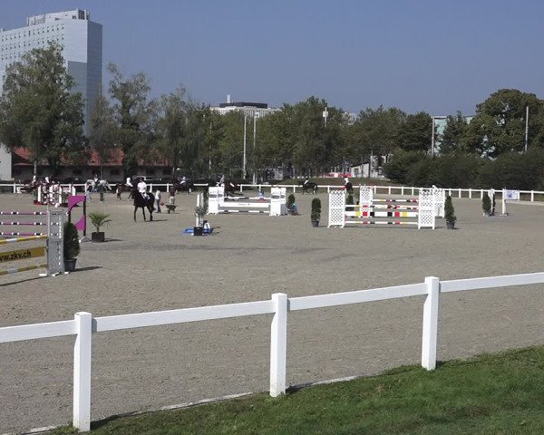 Reitturnier Bern 2020