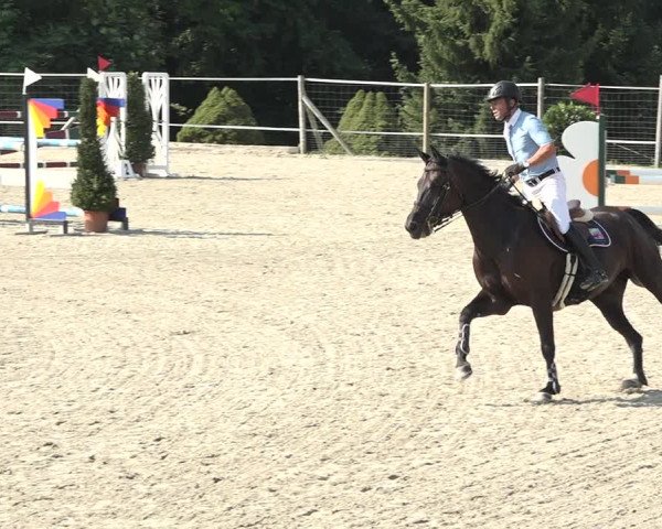 Reitturnier Winkel 2020