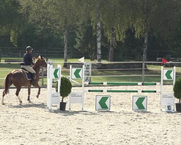 Reitturnier Winkel 2020
