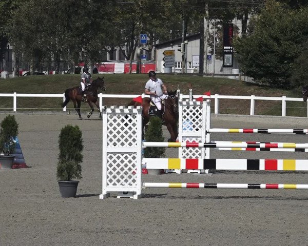 Reitturnier Bern 2020