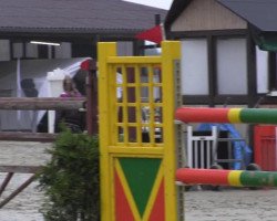 jumper Las Vegas 205 (Westphalian, 2010, from Lissaro)