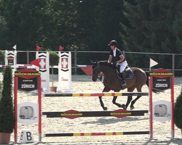 Reitturnier Winkel 2020