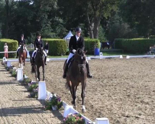 dressage horse Fernet 65 (Westphalian, 2010, from Flanagan)