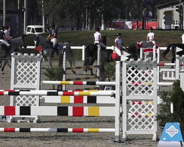 Reitturnier Bern 2020