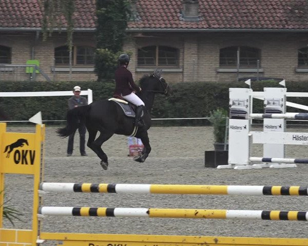 Reitturnier Bern 2020