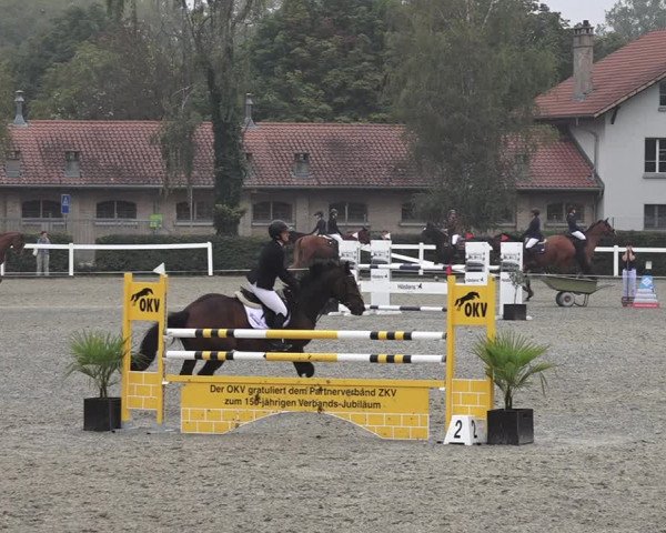Reitturnier Bern 2020