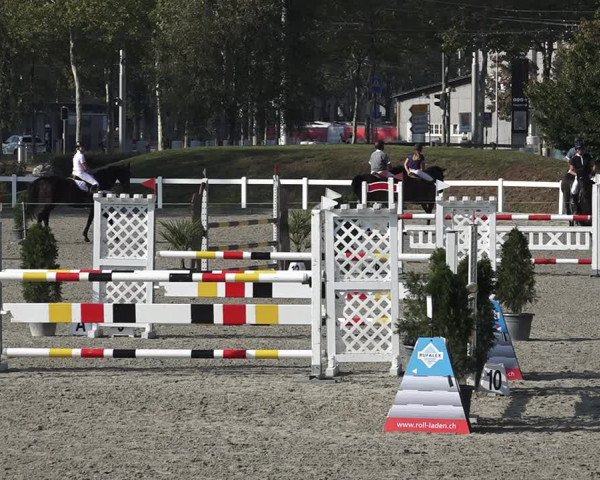 Reitturnier Bern 2020