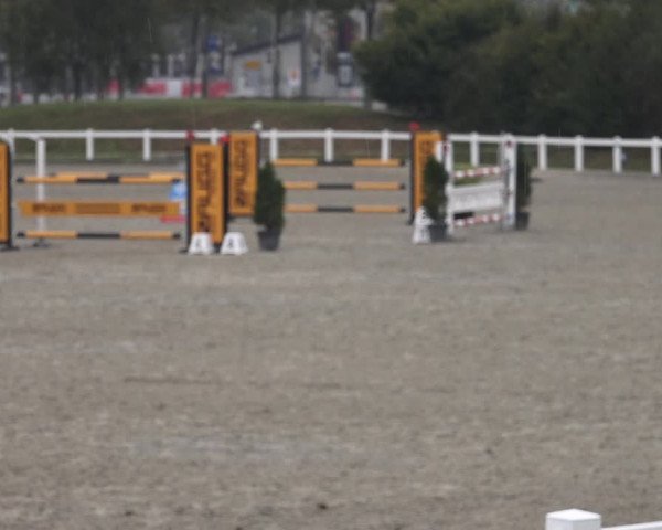 Reitturnier Bern 2020