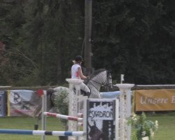 jumper Cash 188 (Hungarian Warmblood, 2004, from Hajnal-23)