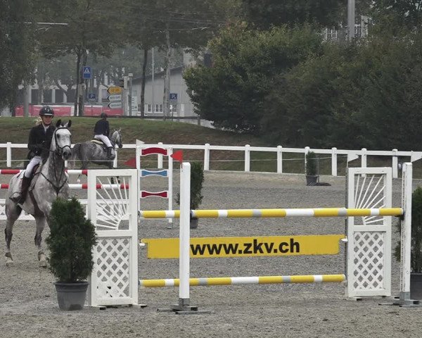 Reitturnier Bern 2020