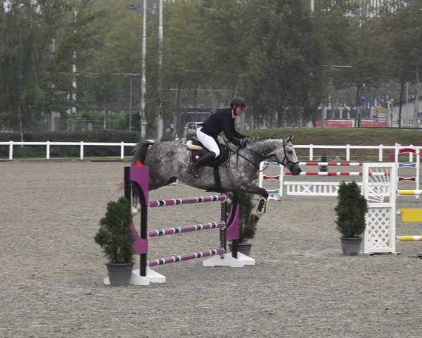 Reitturnier Bern 2020