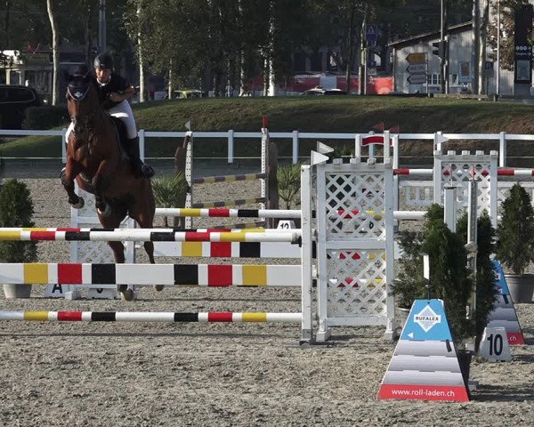 Reitturnier Bern 2020