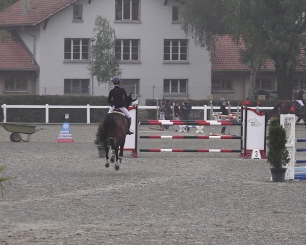 Reitturnier Bern 2020