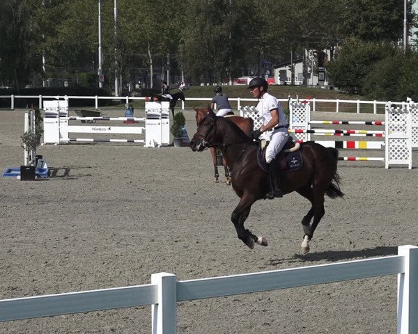 Reitturnier Bern 2020
