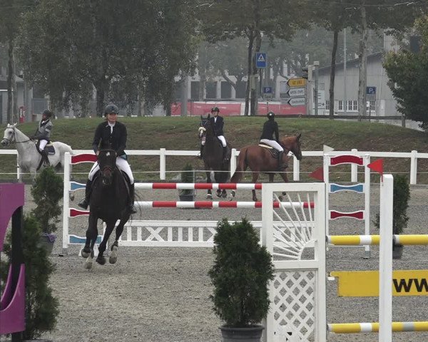 Reitturnier Bern 2020