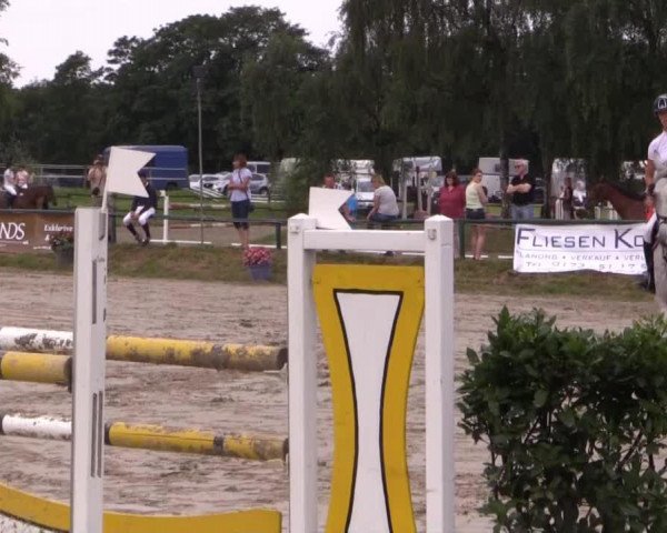 Dressurpferd Chamsin (unbekannt, 2005)
