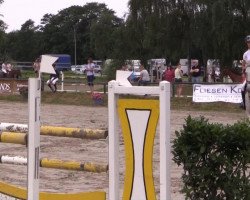 dressage horse Chamsin (unknown, 2005)