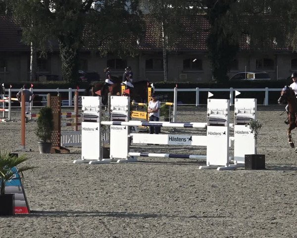 Reitturnier Bern 2020