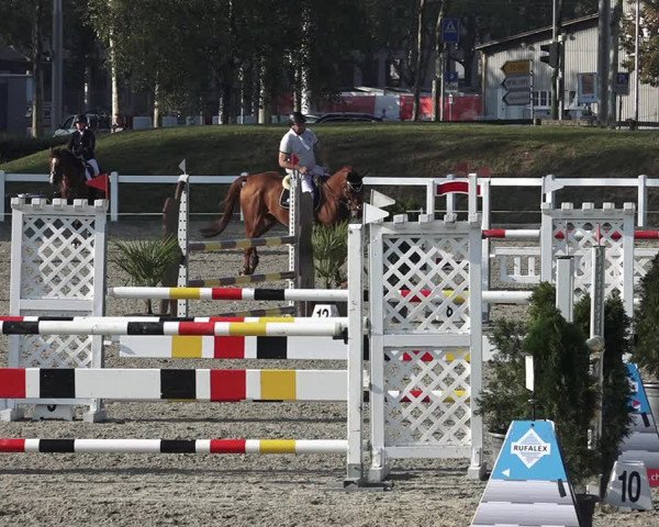 Reitturnier Bern 2020