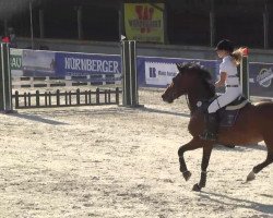 jumper Giada 4 (Italian Warmblood, 2003)