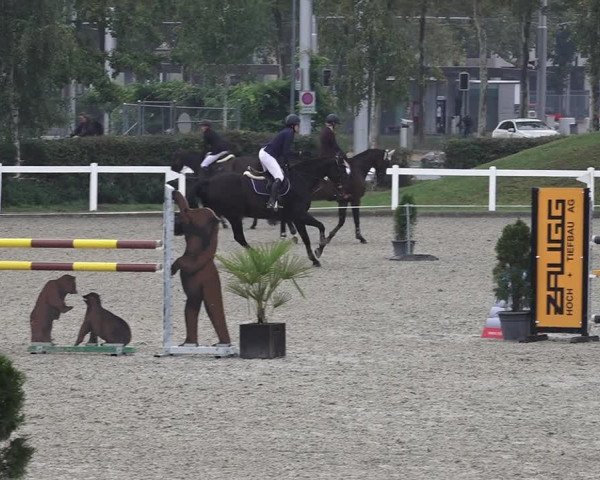 Reitturnier Bern 2020