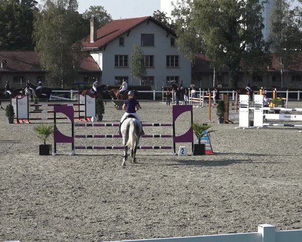 Reitturnier Bern 2020