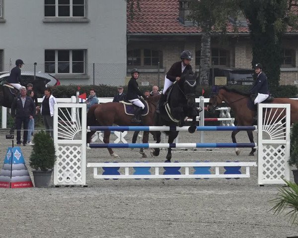 Reitturnier Bern 2020