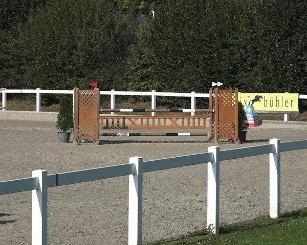 Reitturnier Bern 2020