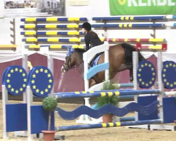 jumper Estelle Zazou (KWPN (Royal Dutch Sporthorse), 2009, from Zazou R)