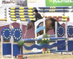 jumper Estelle Zazou (KWPN (Royal Dutch Sporthorse), 2009, from Zazou R)