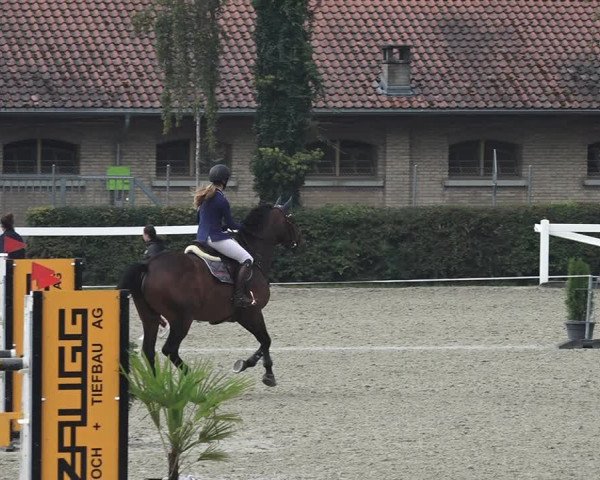 Reitturnier Bern 2020