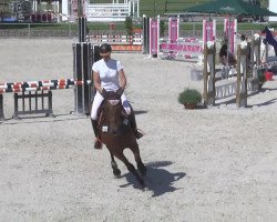 jumper Cassandra 349 (Oldenburg show jumper, 2009, from Champion de Cord)