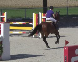 broodmare Serafia (Bavarian, 2009, from AL Cantaro E)