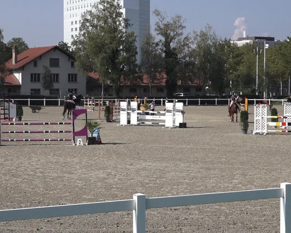Reitturnier Bern 2020