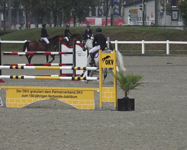 Reitturnier Bern 2020