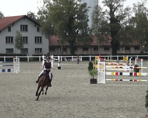 Reitturnier Bern 2020