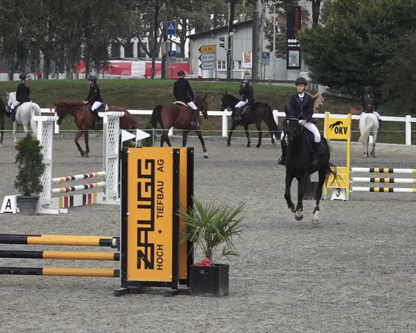 Reitturnier Bern 2020
